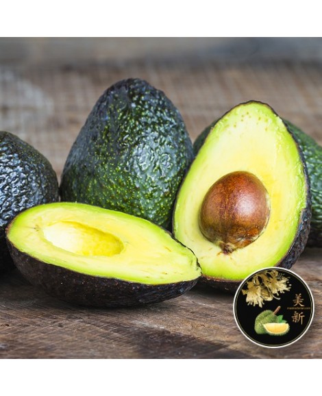 Avocado (Fresh)