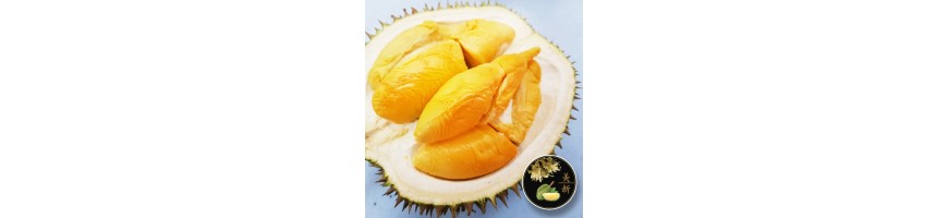 Durian