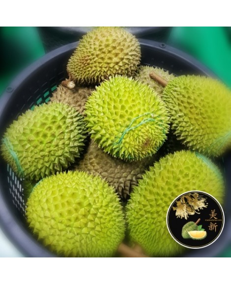 Durian XO (Fresh Pulp)- 400gram