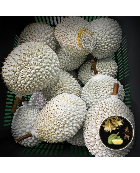 Frozen Whole Durian 